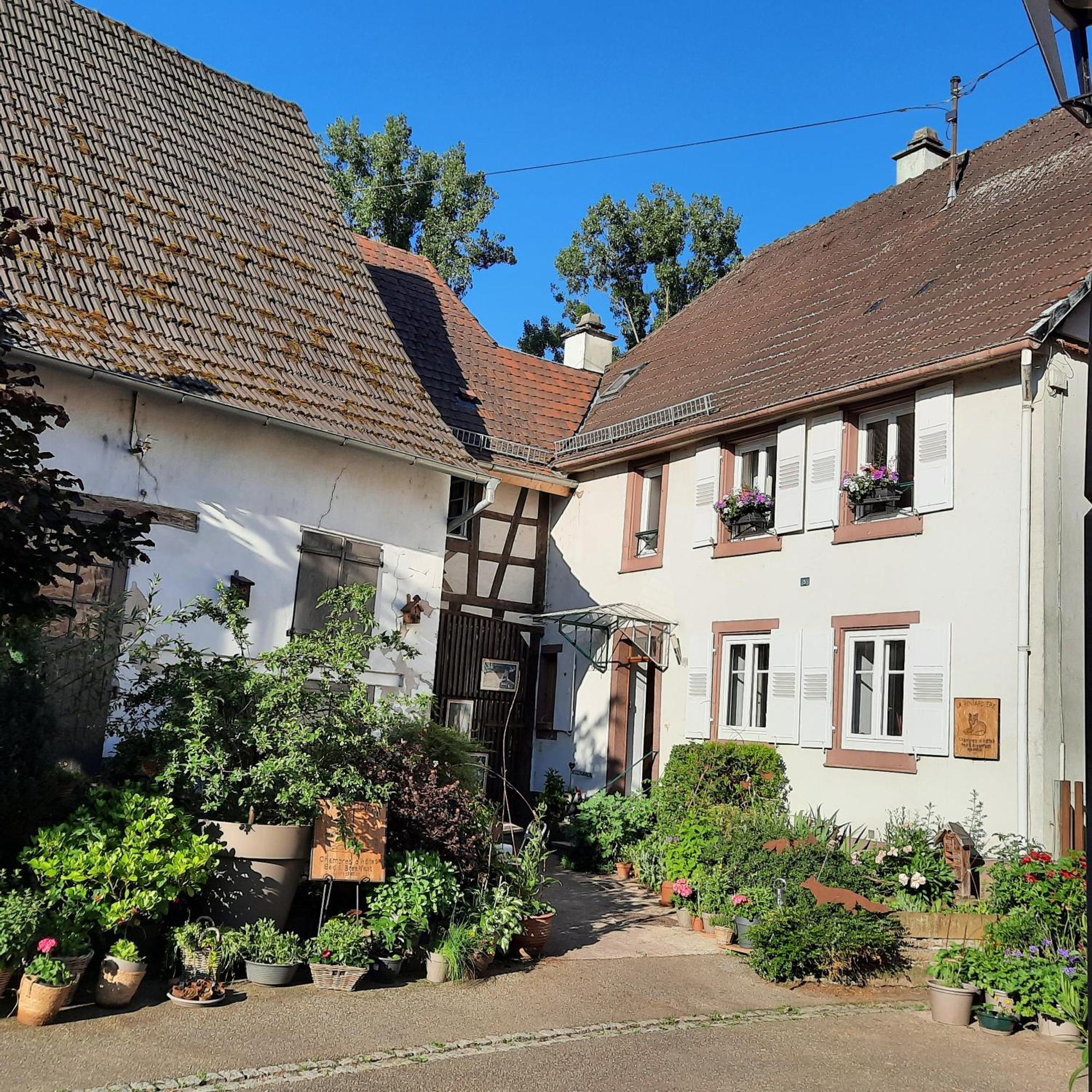 Reichshoffen メゾン ドーツ ラ レナルディエ Bed & Breakfast エクステリア 写真